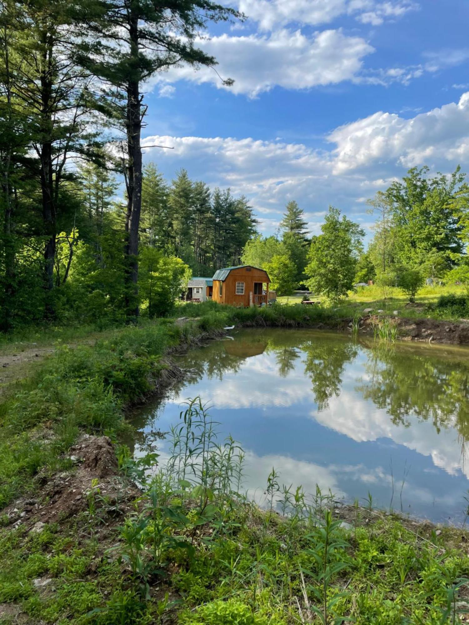 The Hideaway Tiny Cabin East Durham Eksteriør billede